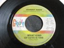 RARE JOHNNY NASH 45 GROOVE 0021 WHAT KIND OF LOVE IS TH