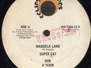 SUPER CAT - MANDELLA LAND /  LILY MELODY - GIMME BACK