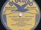 Allen Brothers on Buff Bluebird - terrific