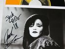 Dead Weather Die By The Drop Autographed Tri Color