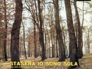 PUCCIO ROELENS. MILLELUCI. 2 brani di sapore Jazz.1966.