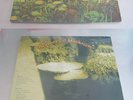 LEAF HOUND GROWERS OF MUSHROOM AKARMA REISSUE SEALED LP