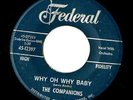 THE COMPANIONS ON FEDERAL 45-12397