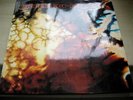 The Petards: Pet Arts rare GERM PROG DOLP 71