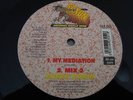 Roger Robin My Meditation 12