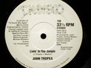 John Tropea - Livin in the Jungle 12