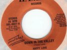 HAPPY LOVE--DOWN IN THE VALLEY--REGGAE--WACKIES--LISTEN