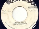 HORACE MARTIN -A BEAUTIFUL DREAM -REGGAE 45 -IRON LABEL