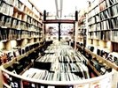 Alle LPs von: BOOTSY COLLINS **************************