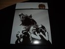 Dead Weather-I Cut Like A buffalo-Third Man Records 8