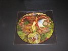 SPYRO GYRA PROMO MORNING DANCE SEALED PICTURE DISC LP
