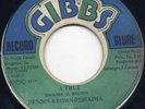 DENNIS BROWN & DHAIMA/A TRUE/HEAVY ROOTS DUB   