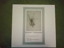 SACRED BONES RECORDS LP Moon Duo Gary War Zola Jesus