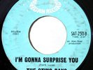 Sting Rays Gonna Surprise You Mod Monster Dance RARE