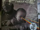 FLAMING LIPS Dark Side Of The Moon Record Store Day
