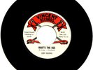 Joey Irving  - Whats The Use / Dont Throw Our Love Away