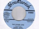 Randy Hart on Brunswick Promo Northern Soul 45 Hear