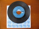 The Turtles - Outside Chance 45 rpm - White Whale 234