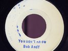 Bob Andy You Dont Know RARE JA orig blank 45 Listen