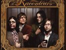 Raconteurs copper color edition