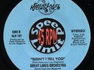 HEAR IT  Great Lakes Orchestra - Didn't I tell you