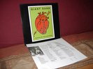 Giant Sand - Center Of The Universe LP orig. 1992