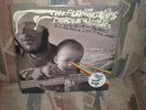 Flaming Lips Dark Side of the Moon 2LP green SEALED