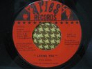 ERNIE JOHNSON Loving You RARE NORTHERN/DEEP SOUL 45 mp3