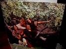 1969 Orig Hippie Folk Psych INCREDIBLE STRING   HORSES