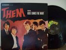THEM Here comes the Night Stereo Parrot  M-