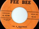 rare Rockabilly 45 WILLIE WARD on FEE BEE Hear