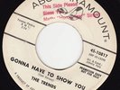 NORTHERN SOUL 45 RPM-  THE TRENDS on ABC-PARAMOUNT