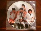 The Beatles Yesterday and Today Butcher Sleeve Pic Disc