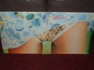 FLASH 1st LP 1972 SOVEREIGN 1st Press MINT