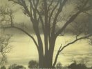 William Parker Through Acceptance Centering LP