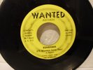 Chicago Garage Long John & The Silvermen on Wanted Rare