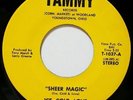 Rare Soul Group 45 ICE-COLD-LOVE on TAMMY 