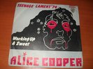 ALICE COOPER  Teenage Lament' 74 TURKISH PRESS  7