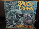 SAVOY BROWN SEALED LP LOOKING IN ORIG 1970 PARROT ALBUM