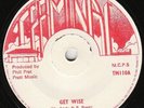 Horace Andy - Get Wise - AWESOME ???