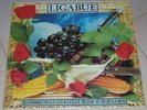 Ligabue -Lambrusco Coltelli Rose e Pop corn- Lp 1991