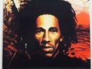 BOB MARLEY & THE WAILERS-'NATTY DREAD' 200 gram LP NM