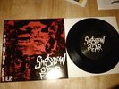 SHADOW OF FEAR EP DISCHARGE GISM DISCLOSE SDS 400 ONLY