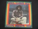 Errol Flabba Holt - Roots Radics Dub LP