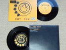 Blink 182 Not Now UK 7