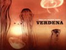 VERDENA SOLO UN GRANDE SASSO DOPPIO 2LP LTD 1000 COPIE