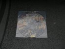 Bolt Thrower - Realm of Chaos PICTURE DISC RARE + MORE