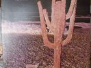 INDIAN SUMMER - self titled - Rare 1971 LP on RCA NEON