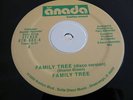 Family Tree - Skye - Booton Records US 12