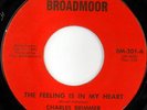 rare Soul 45 CHARLES BRIMMER feeling is in my heart